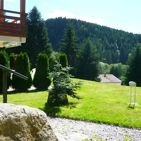 Charmant Appartement Gerardmer Apartament