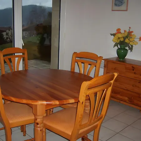 Daire Charmant Appartement Gerardmer