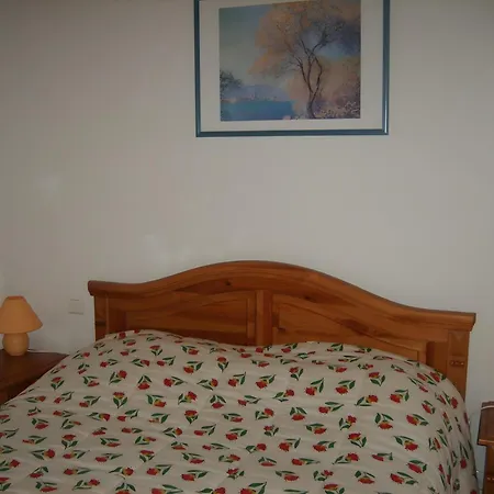 Daire Charmant Appartement Gerardmer *
