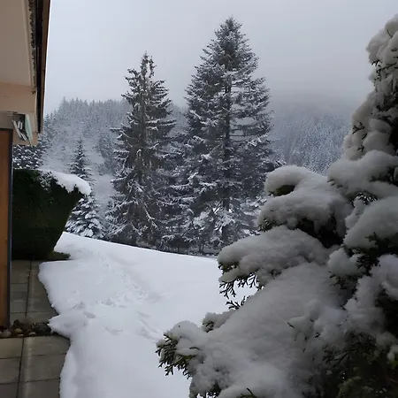 Charmant Appartement Gerardmer Daire