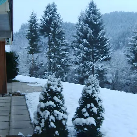 Daire Charmant Appartement Gerardmer Gérardmer